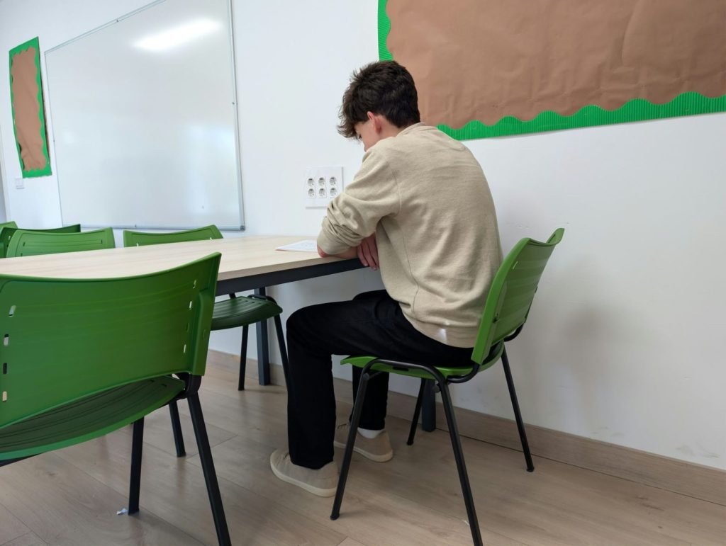Alumno estudiando en silencio en una sala de estudio de Dallington College